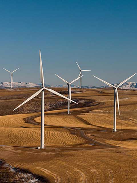 自动发卡秒发的ip攻击器网页版